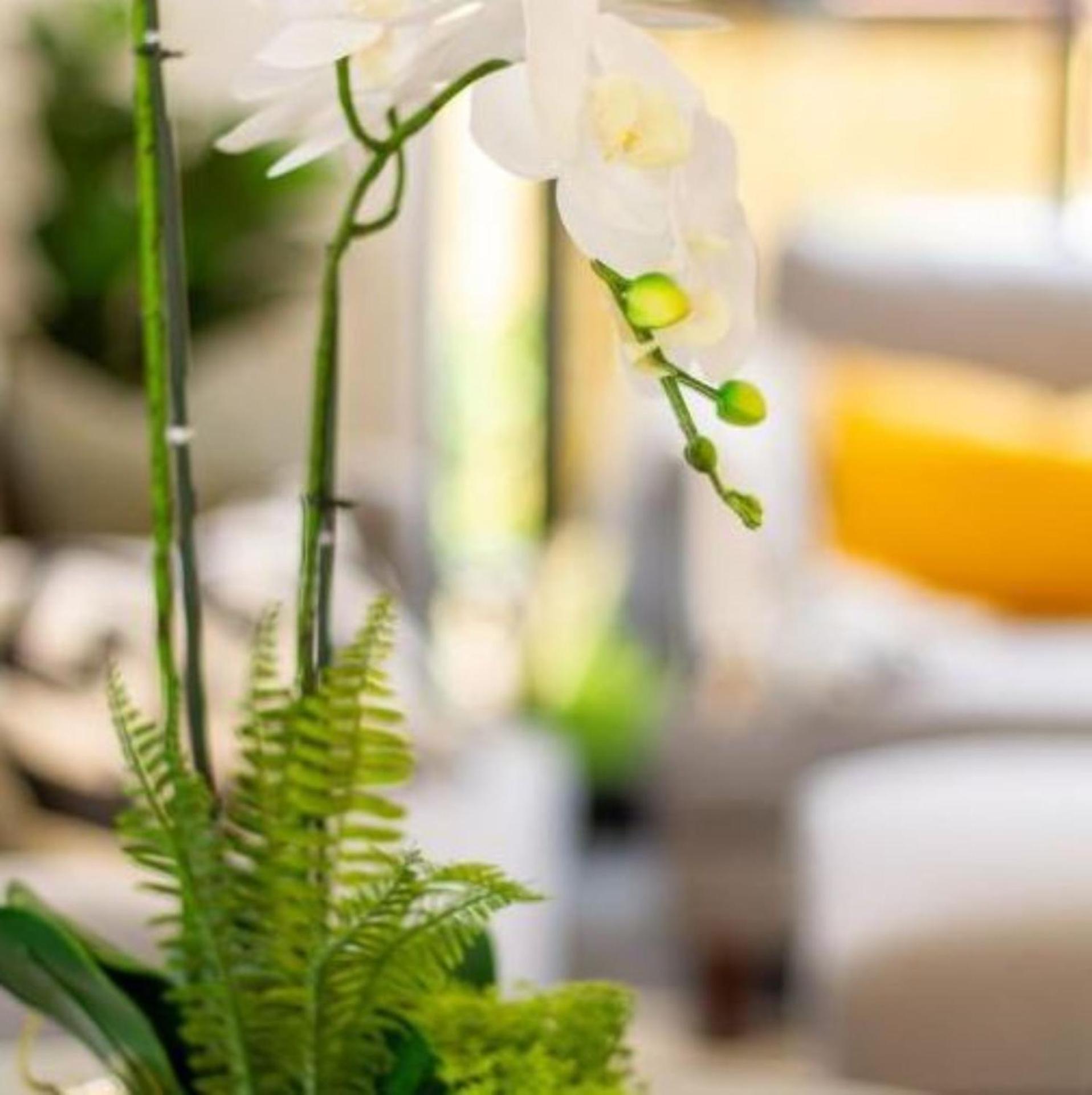 New Sophisticated City Pad Apartment Christchurch Luaran gambar